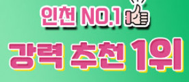 [강력추천]수입1등 손님 많아요