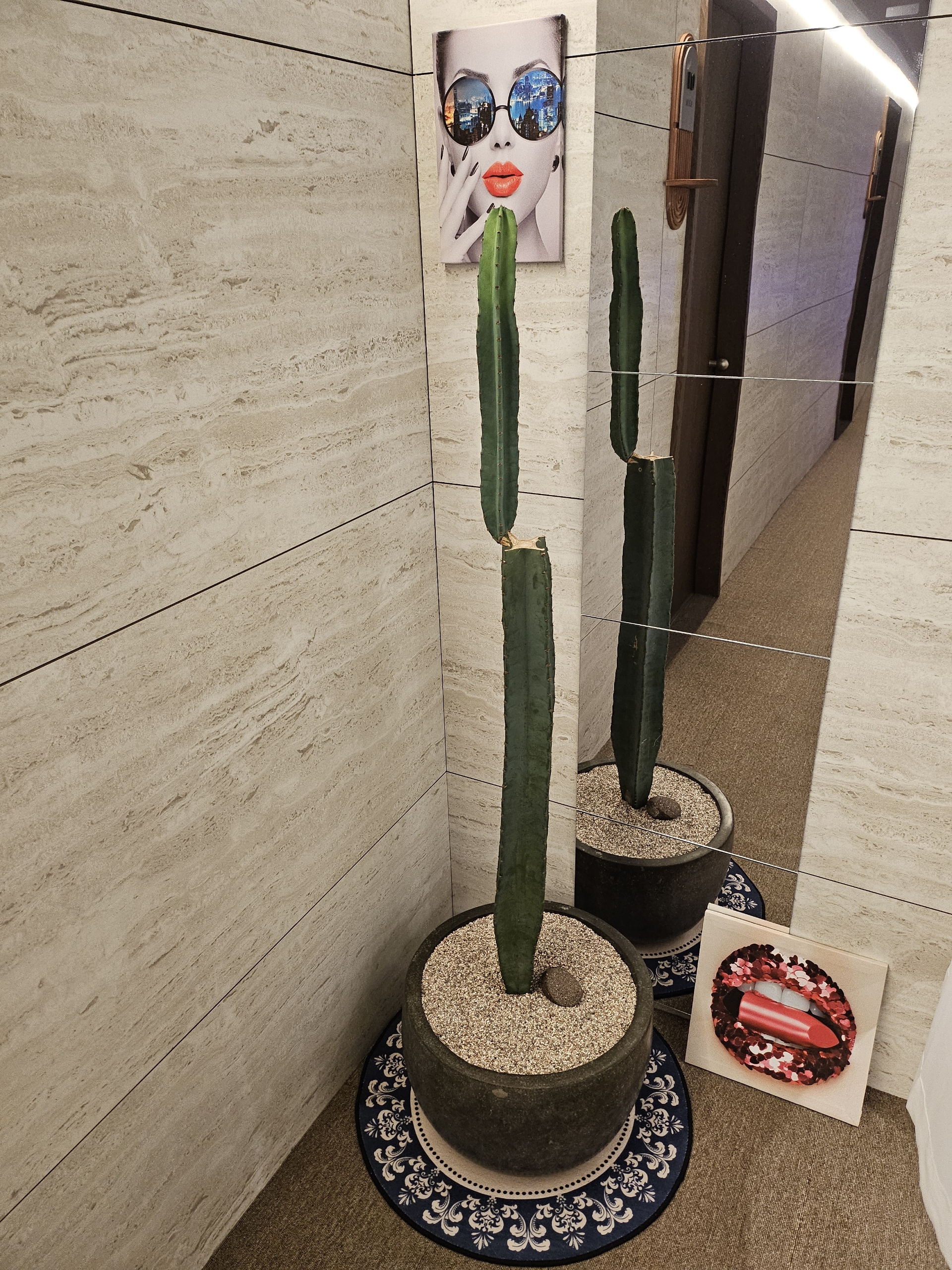 뚝방스웨디시 거품 싹 뺀 진짜입니다 만콜하실분~(춘천진짜1등바로여기입니다)