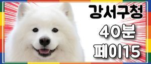 <오늘오픈> <페이15까지> 강서구청 핑크문 스웨디시